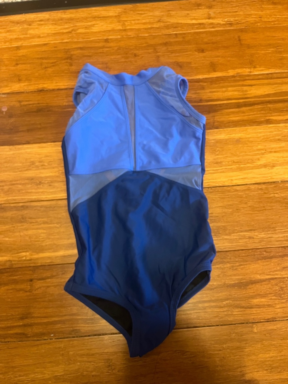 Blue Colorblock One-Piece Dance Leotard